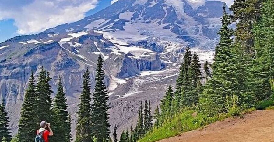 From Seattle: Full-Day Mt Rainier National Park Tour - Narada Falls, a 45-minute stop