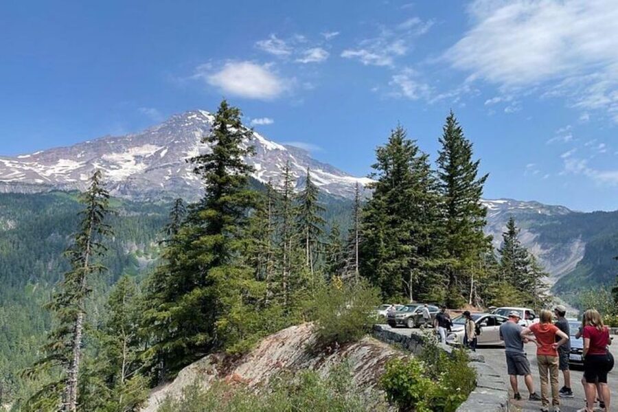 From Seattle: Full-Day Mt Rainier National Park Tour - Christine Falls and the final waterfall view