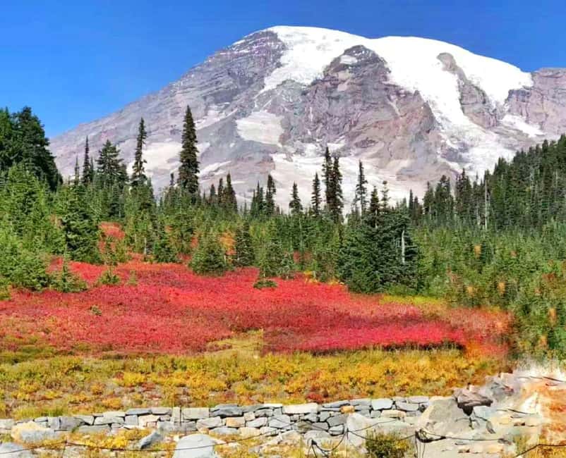 From Seattle: Mount Rainier Guided Day Tour - Christine Falls and Narada Falls bring the water close