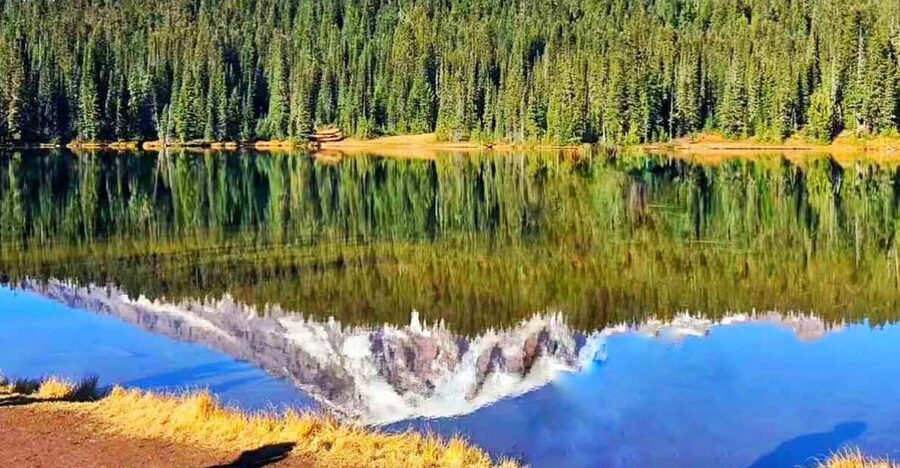 From Seattle: Mount Rainier Guided Day Tour - Paradise gives you the main mountain moment
