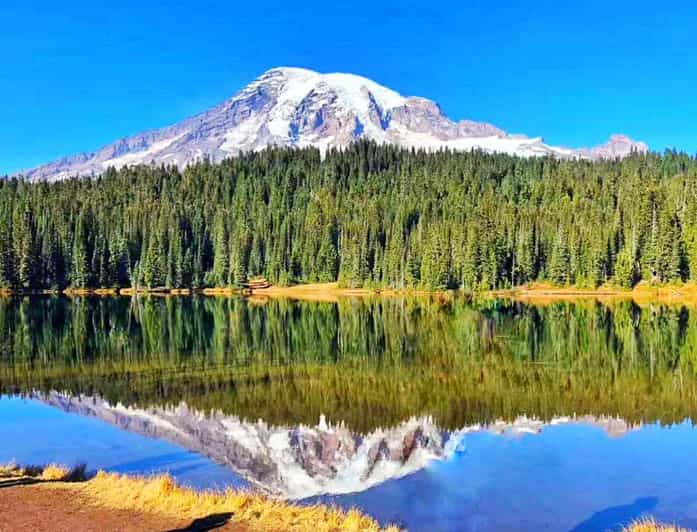 From Seattle: Mount Rainier Guided Day Tour - Who will get the most from this day