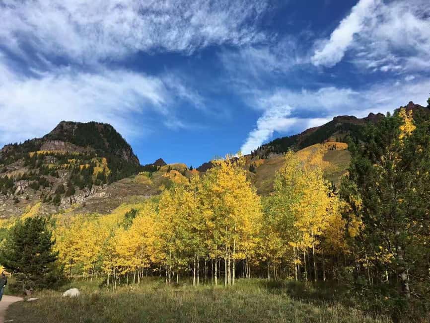 From Seattle: Mount Rainier Guided Day Tour - Longmire Museum: a useful first look at the mountain