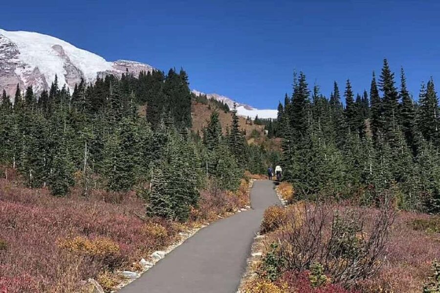 From Seattle: Mount Rainier National Park 1-Day Tour - Paradise, the main event at Mount Rainier