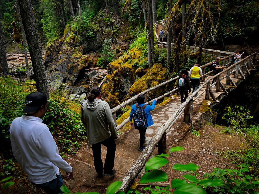 From Seattle: Mount Rainier National Park Guided Tour - Why this day trip works from Seattle