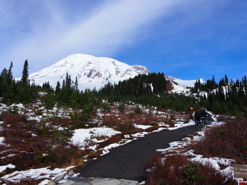 From Seattle: Mount Rainier National Park Guided Tour - The minibus ride and changing daily plan