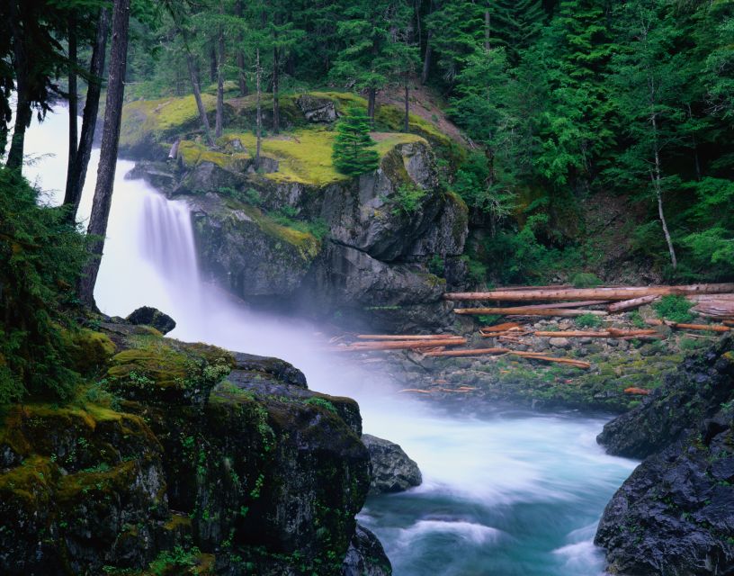 From Seattle: Mount Rainier National Park Guided Tour - Winter at Rainier: snow-covered forests and Longmire