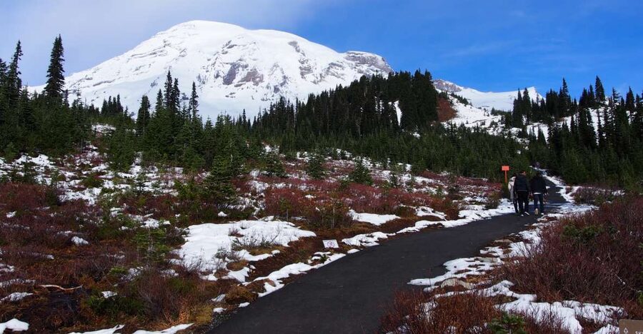 From Seattle: Mount Rainier National Park Guided Tour - What the guide adds to the experience