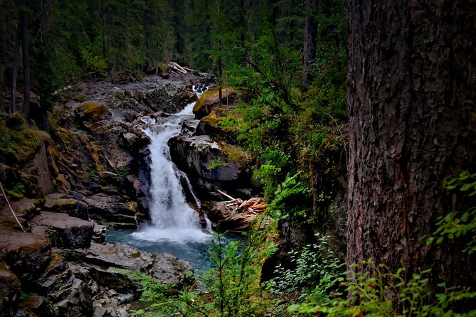 From Seattle: Private Tour to Mt. Rainier - Elbe and Ashford mark the change of pace
