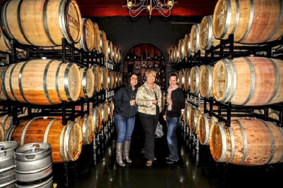 From Seattle: Snoqualmie Falls & Woodinville Wine Tasting - Why the guide can shape the whole day