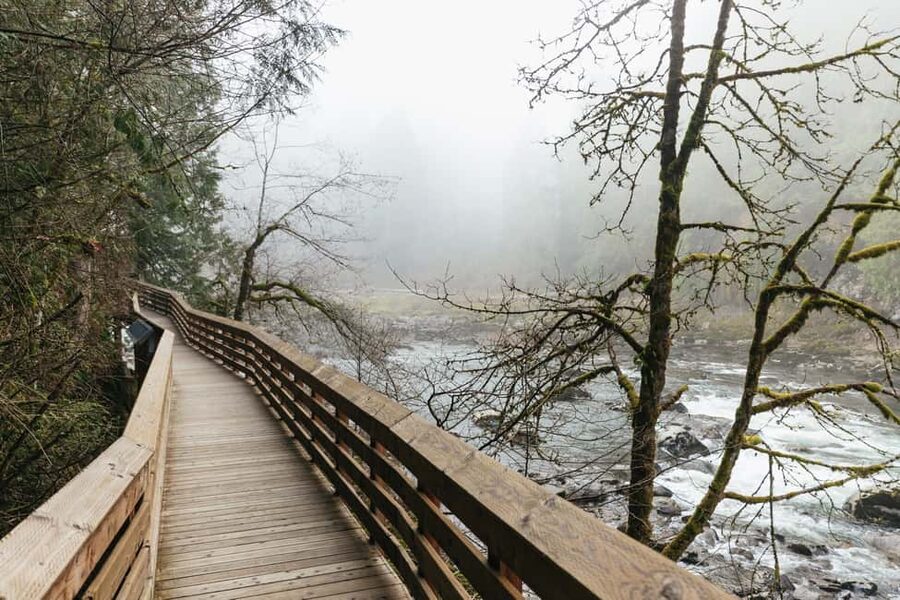 From Seattle: Visit Snoqualmie Falls and Hike to Twin Falls - Old-growth trees, mushrooms, and small details