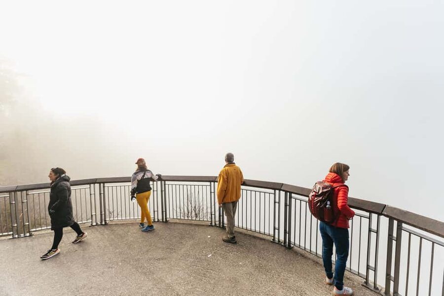 From Seattle: Visit Snoqualmie Falls and Hike to Twin Falls - Who should book this tour?