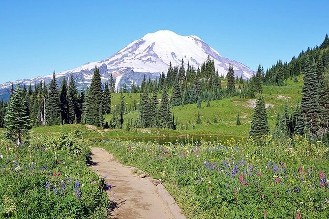 Full-Day Mt Rainier National Park Private Tour in SUV - The drive from Bellevue to Mount Rainier