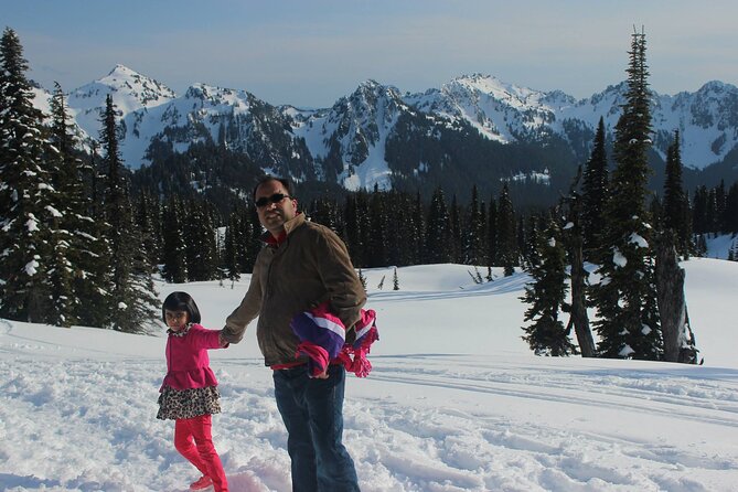Full-Day Mt Rainier National Park Private Tour in SUV - Paradise and the Henry M. Jackson Visitor Center