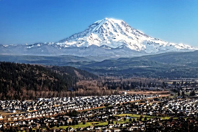 Full-Day Mt Rainier National Park Private Tour in SUV - Christine Falls, a short final viewpoint