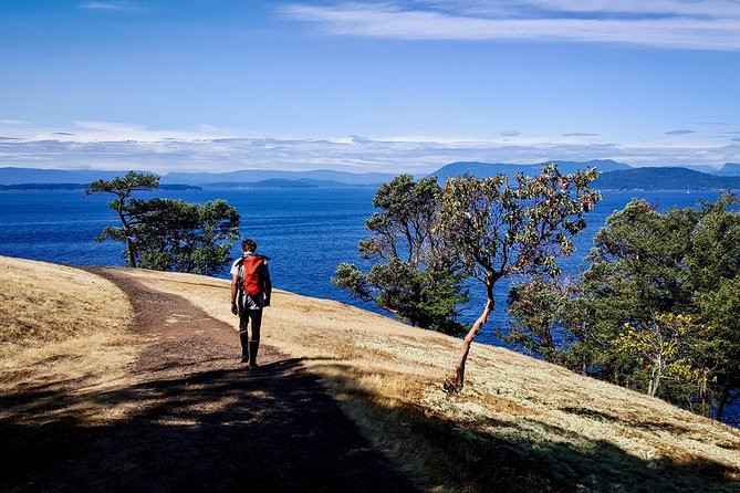 Full Day San Juan Island Kayaking Adventure - Key points to know before you book