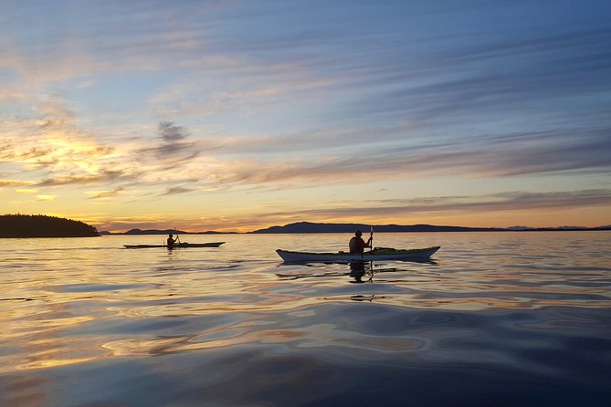 Full Day San Juan Island Kayaking Adventure - San Juan County Park and the shoreline pause