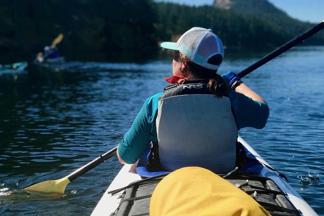 Full Day San Juan Island Kayaking Adventure - What the small group adds