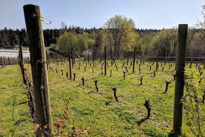 Full-Day Small-Group Bainbridge Island Wine and History Tour - Key points at a glance