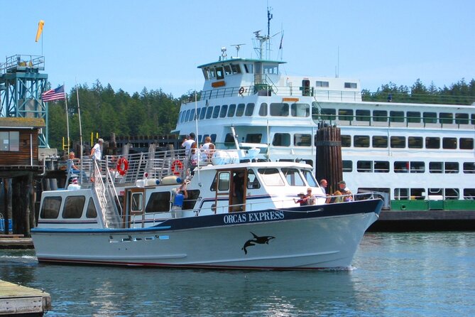Guaranteed Whale Watching Tour - Why the small-group format helps