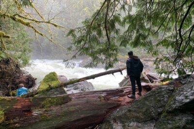 Guided forest hike to Seattle waterfalls incl. Snoqualmie Falls