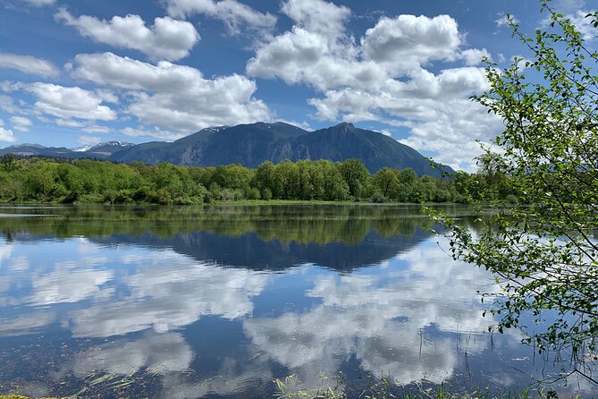 Guided forest hike to Seattle waterfalls incl. Snoqualmie Falls - North Bend and the Twin Peaks connection