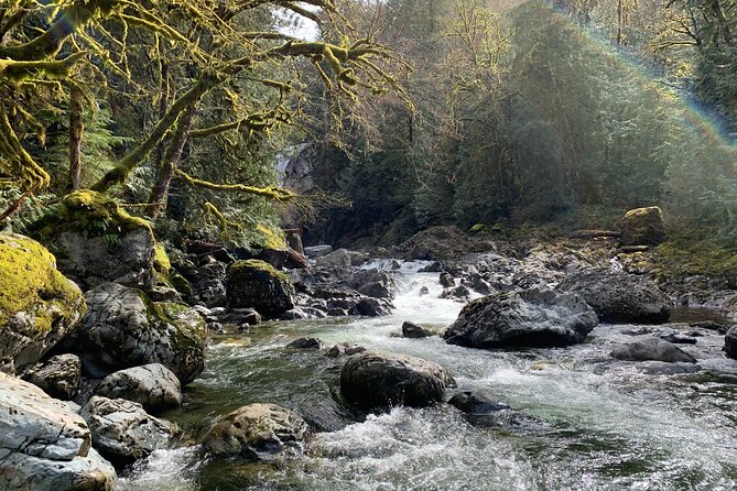 Guided forest hike to Seattle waterfalls incl. Snoqualmie Falls - What the $79 price really covers