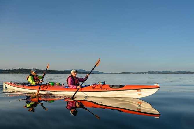Guided Kayak Tour on San Juan Island - Key points for your San Juan Island paddle