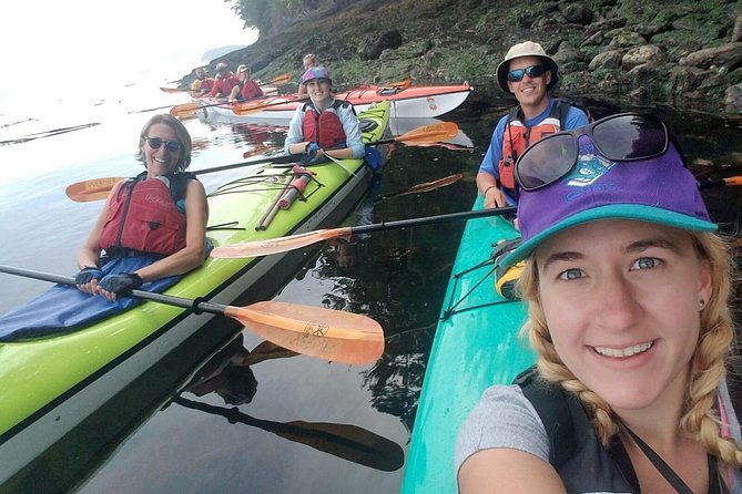 Guided Kayak Tour on San Juan Island - Starting in downtown Friday Harbor at 1:30 pm