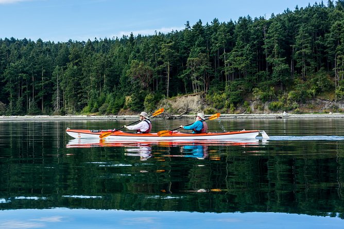 Guided Kayak Tour on San Juan Island - Looking for harbor seals and marine birds