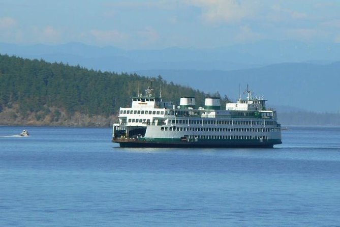 Guided Kayak Tour on San Juan Island - Learning the basics at Jackson Beach Park