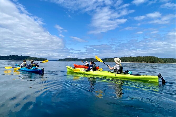 Guided Kayak Tour To Hope Island State Park - Key points to know before you book
