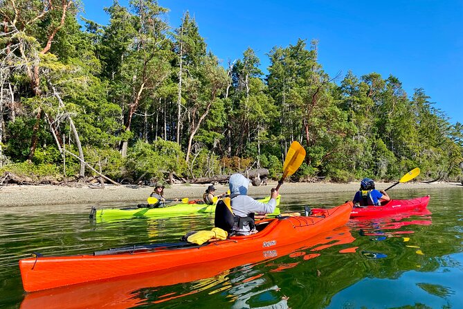 Guided Kayak Tour To Hope Island State Park - Clothing, fitness, and age limits