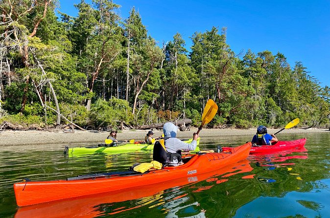 Guided Kayak Tour To Hope Island State Park - A good choice for nervous or returning paddlers