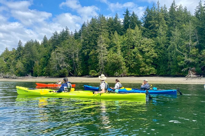 Guided Kayak Tour To Hope Island State Park - The small-group feel and guide style
