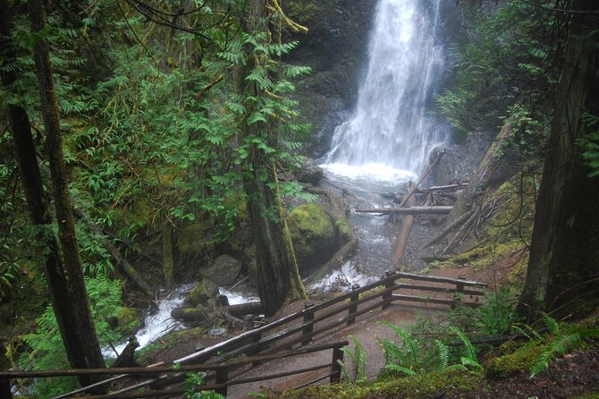 Half Day Guided Tour of Olympic National Park - Weather, clothing, and timing matter