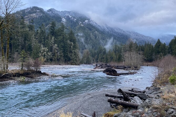 Half Day Guided Tour of Olympic National Park - Madison Creek Falls gives you an easy start