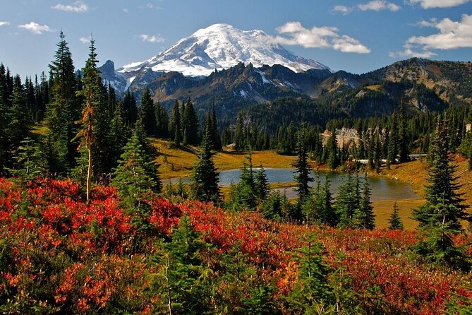 Hike Mt. Rainier & Taste Yakima Valley Wine: All-Inclusive Day Tour from Seattle - Key points to know before booking