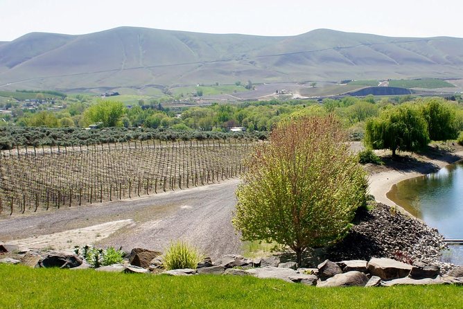 Hike Mt. Rainier & Taste Yakima Valley Wine: All-Inclusive Day Tour from Seattle - A three-mile walk near Mt. Rainier