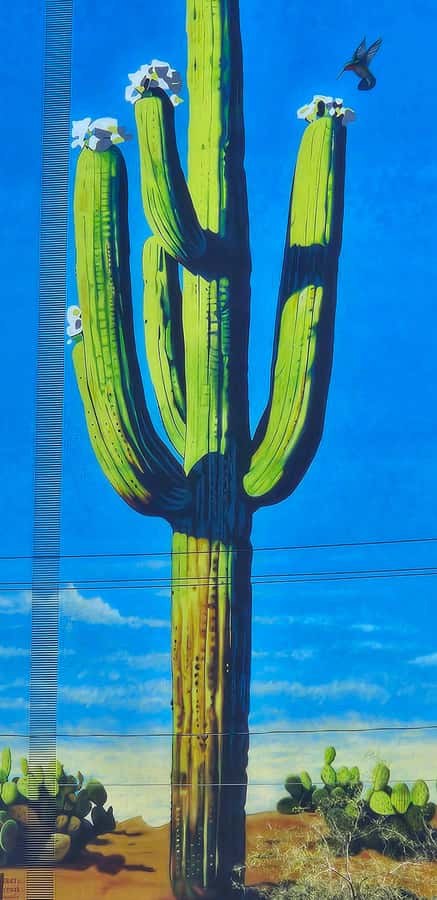 Historic Tucson Walking Tour - A courthouse beginning with Dillinger-era drama