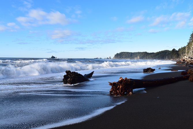 Hoh Rain Forest and Rialto Beach Guided Tour in Olympic National Park - Rialto Beach and the Pacific edge