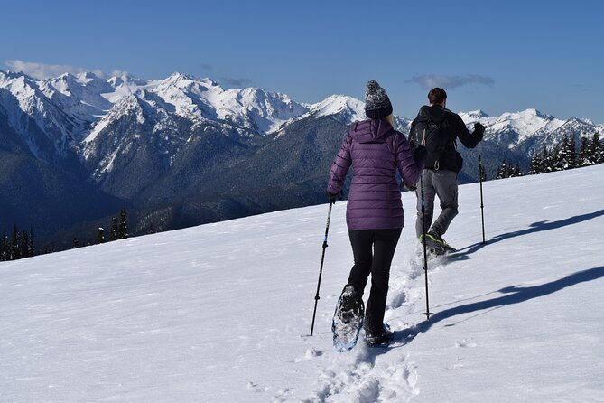 Hurricane Ridge Guided Snowshoe Tour in Olympic National Park - Key Details at a Glance
