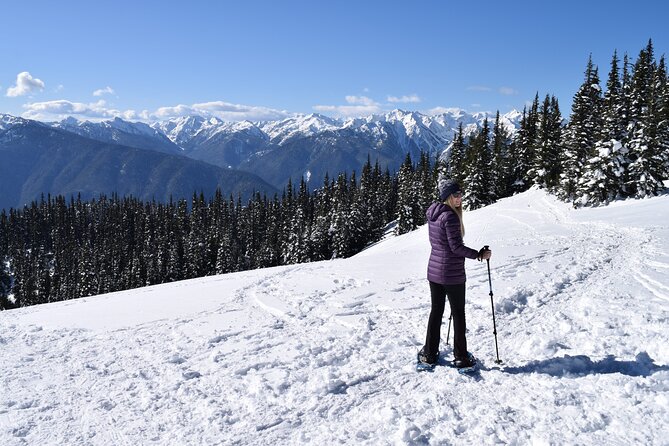Hurricane Ridge Guided Snowshoe Tour in Olympic National Park - Why Hurricane Ridge Works So Well in Winter
