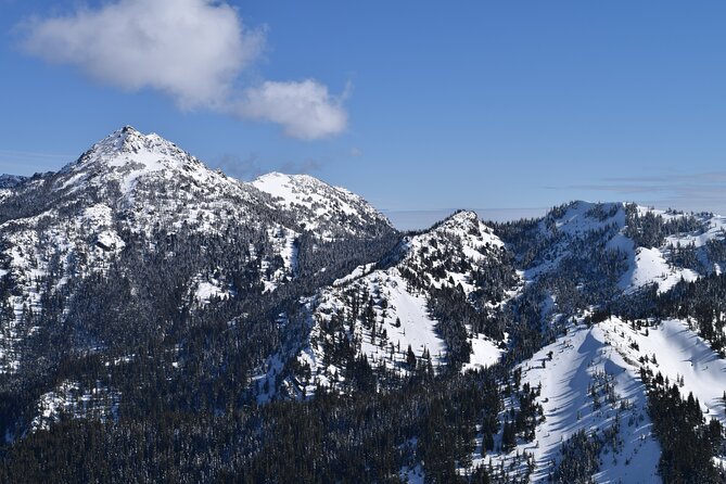 Hurricane Ridge Guided Snowshoe Tour in Olympic National Park - Four Hours on Snowshoes at Hurricane Ridge