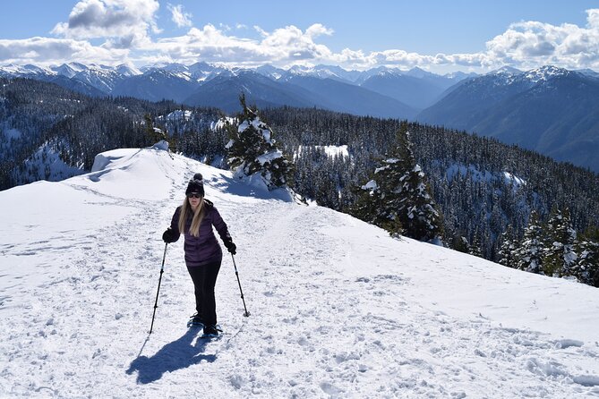 Hurricane Ridge Guided Snowshoe Tour in Olympic National Park - A Picnic Lunch at the Midpoint