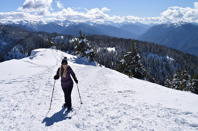 Hurricane Ridge Guided Snowshoe Tour in Olympic National Park - What the $190 Price Really Covers