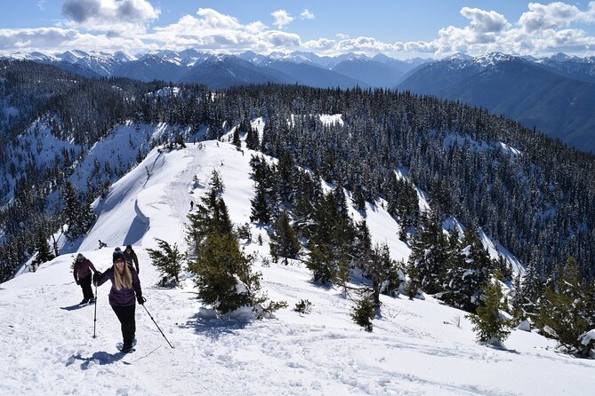 Hurricane Ridge Guided Snowshoe Tour in Olympic National Park - The Schedule, From 8:30 a.m. to the Return