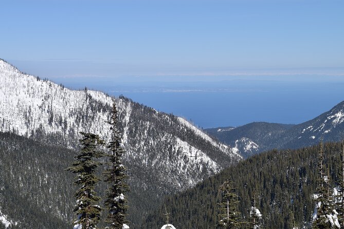 Hurricane Ridge Guided Snowshoe Tour in Olympic National Park - Who Should Book This Snowshoe Tour?