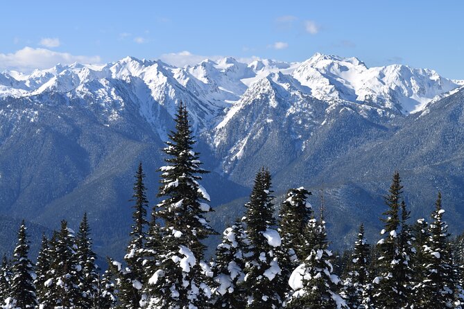 Hurricane Ridge Guided Snowshoe Tour in Olympic National Park - Riding a 4WD Vehicle to the Snow