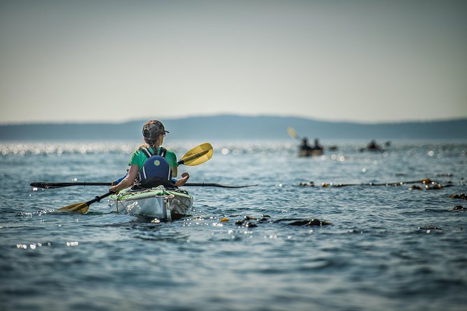 Kayaking in Deception Pass State Park - Is $54.94 a fair price?