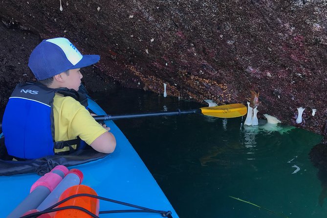 Kayaking in Deception Pass State Park - What you might see around Fidalgo Island